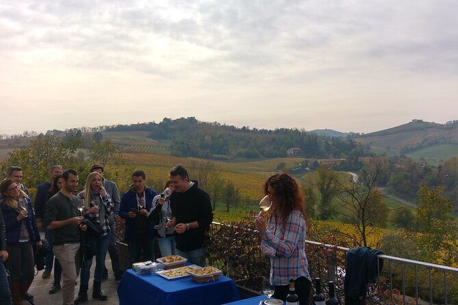 From Bologna: Wine Tasting and Vineyard Tour with the winemaker - Exploring the Details: What to Expect from the Tour