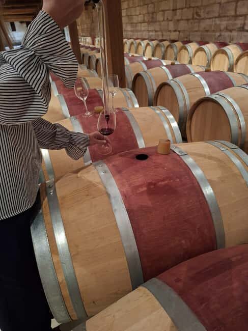 From Bordeaux: 2 Wineries MEDOC Tour with Tastings - Key Points