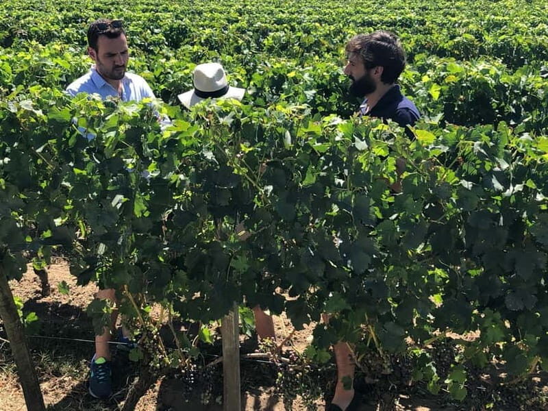 From Bordeaux: A day to visit the Medoc and Saint-Emilion - Practical Considerations