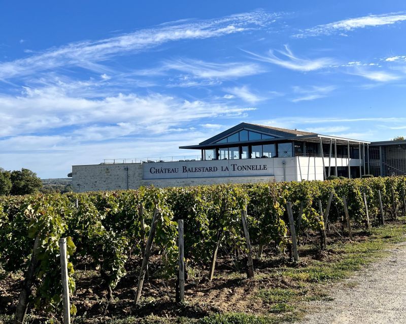 From Bordeaux: Afternoon Saint-Emilion Wine Tasting & snack - Wine amounts: what to expect (and what a couple travelers wished for)