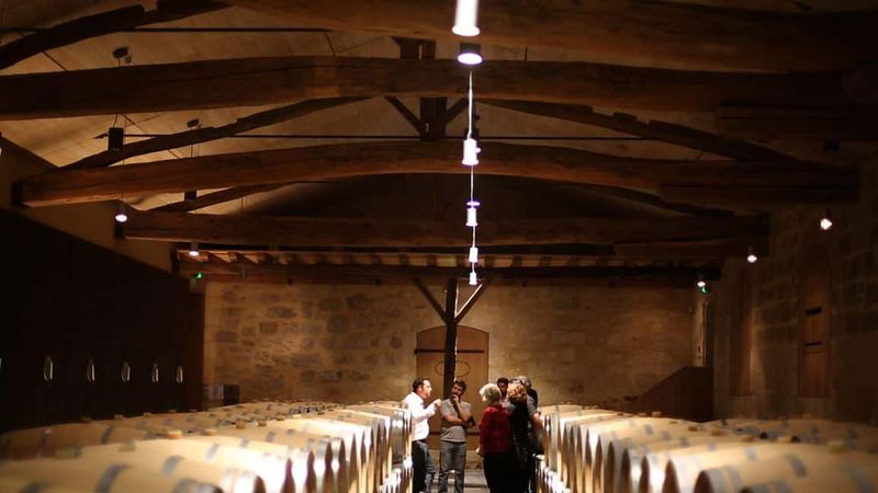 From Bordeaux: Afternoon Saint-Emilion Wine Tasting & snack - Guides: why people keep mentioning names