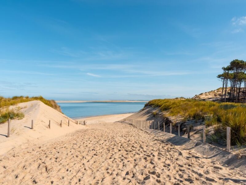 From Bordeaux: Arcachon and Pilat Dune Private Tour - Who Would Love This Tour?