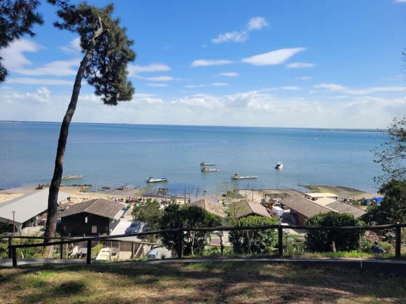 From Bordeaux: Cap Ferret Peninsula Private Tour, Ocean and Oyster Village - Food, Drink, and Cost Value