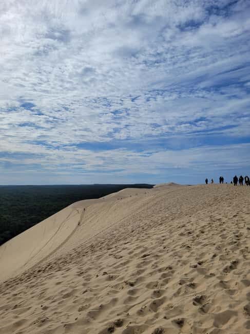 From Bordeaux: Dune du Pilat, Arcachon Bay and Oyster Village Private Tour - What Travelers Are Saying