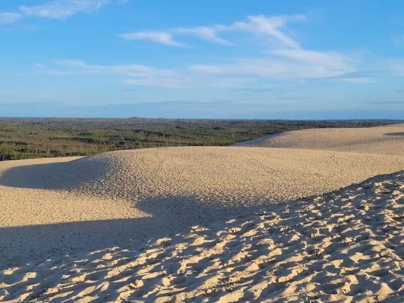 From Bordeaux: Dune du Pilat, Arcachon Bay and Oyster Village Private Tour - Is This Tour Right for You?