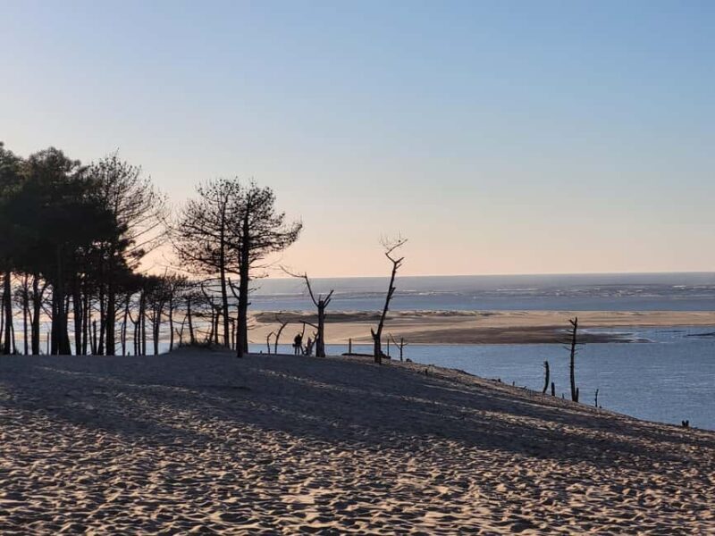From Bordeaux: Dune du Pilat Sunset Tour - The Highlights and Drawbacks