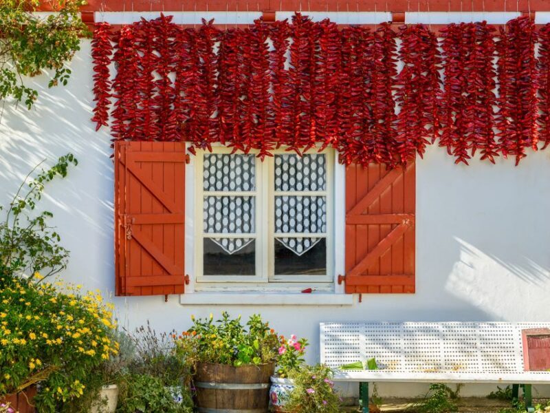 From Bordeaux: Full-Day Private Basque Country Tour - FAQs About the Full-Day Private Basque Country Tour