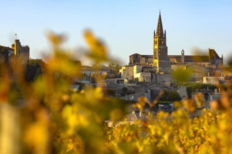 From Bordeaux: Full-Day St Emilion Wine Tasting Tour - Afternoon Winery Visit and Tasting