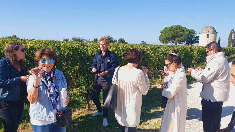 From Bordeaux: Half-Day Saint-Émilion Tour and Wine Tasting - Final Thoughts