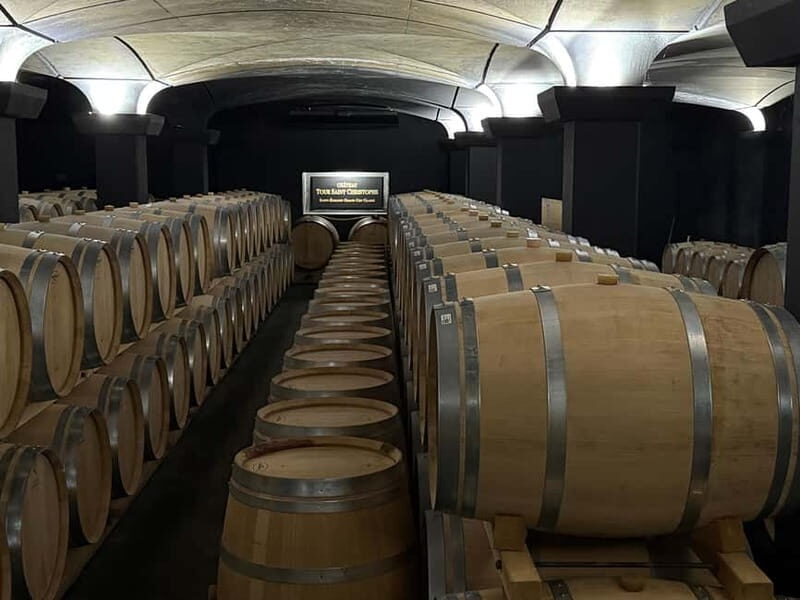 From Bordeaux: Private Tour in the Chateaux of Saint-Émilion - Detailed Breakdown of the Experience