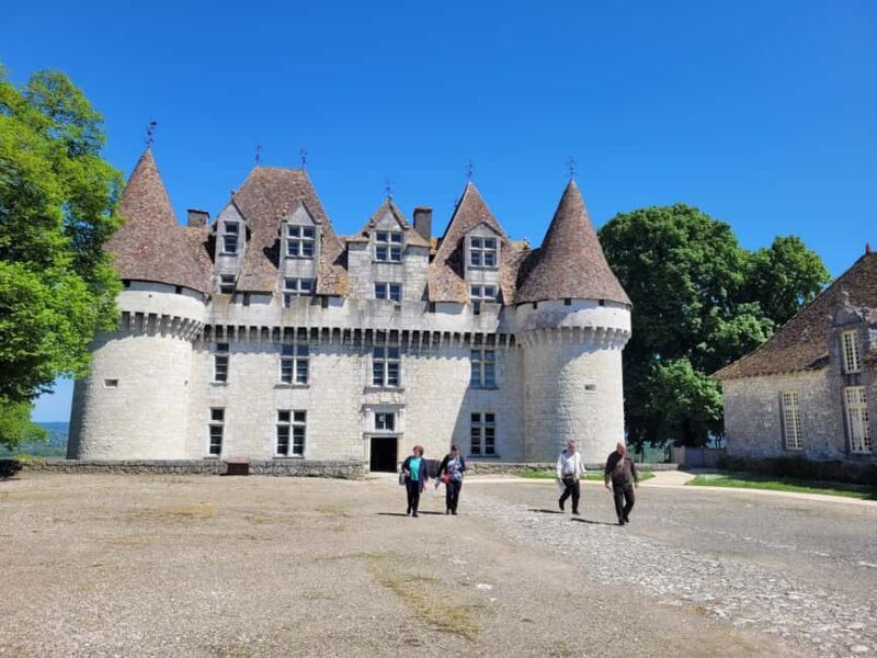 From Bordeaux: Private tour Monbazillac (Castle, Wine & Food in Dordogne) - Price and value