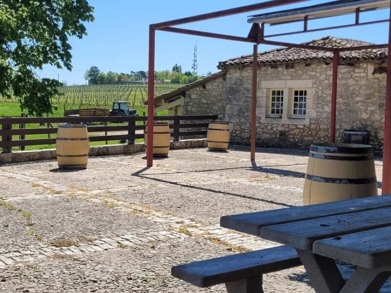 From Bordeaux: Private tour Monbazillac (Castle, Wine & Food in Dordogne) - FAQ