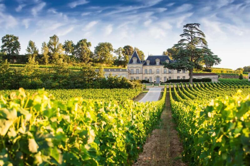From Bordeaux: Private Wine Tour to Saint-Émilion - Cost and Value