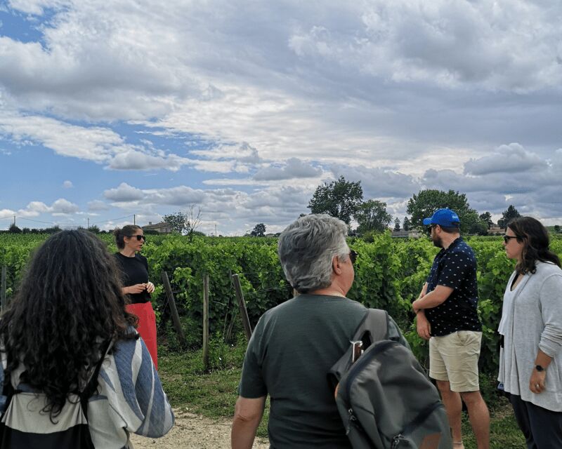 From Bordeaux: Saint-Émilion Half-Day Tour with Wine Tasting - Visiting the Organic Winery