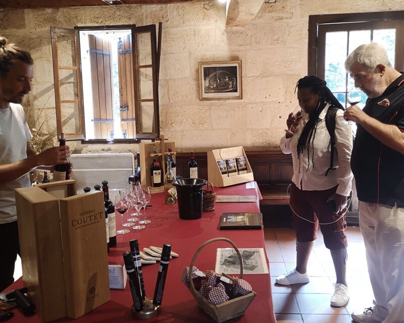 From Bordeaux: Saint-Émilion Half-Day Tour with Wine Tasting - Who Is This Tour Best For?