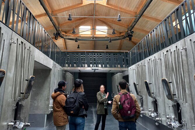 From Bordeaux: Saint-Émilion Half-Day Trip with Wine Tasting - Who Is This Tour Best Suited For?