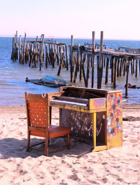 From Boston: Cape Cod and Plymouth Day Tour - Final Thoughts