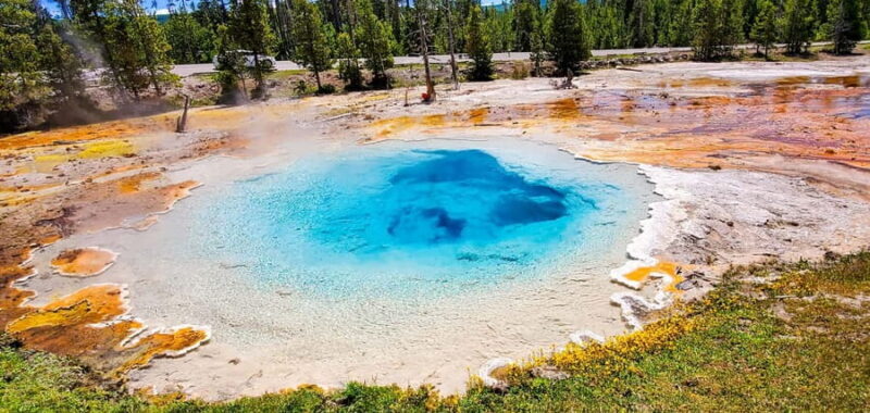 From Bozeman: Yellowstone Day Tour (Lower Loop) - Exploring the Itinerary: What to Expect
