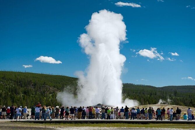 From Bozeman Yellowstone Full Day Tour Lower Loop - What the Reviews Say
