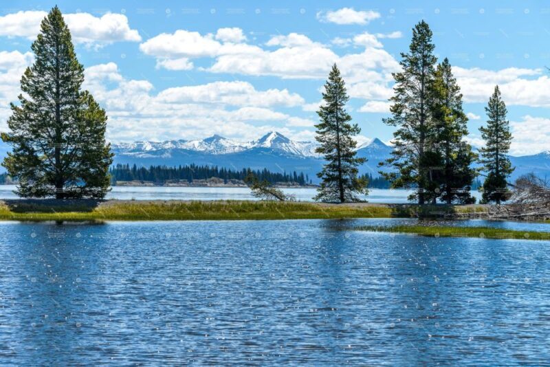 From Bozeman: Yellowstone & Teton Tour (3 Days & 2 Nights) - The Real Deal from Reviews