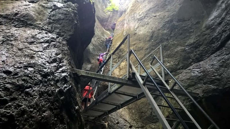 From Brasov: Day Trip to the Seven Ladders Canyon - What to Expect on the Day Trip to Seven Ladders Canyon