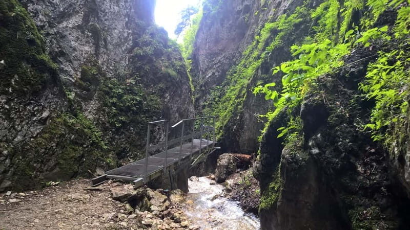 From Brasov: Day Trip to the Seven Ladders Canyon - Practical Tips for Your Trip