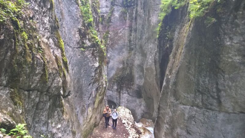 From Brasov: Day Trip to the Seven Ladders Canyon - Who Will Enjoy This Tour?