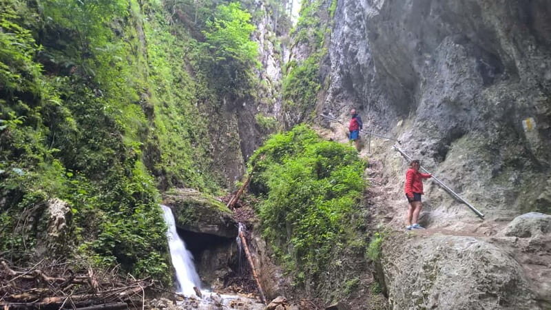 From Brasov: Day Trip to the Seven Ladders Canyon - The Bottom Line