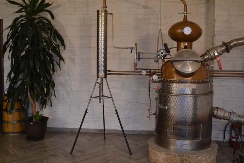 From Brasov: Guided Full-day Hidden tales of Rasnov tour - Key Points