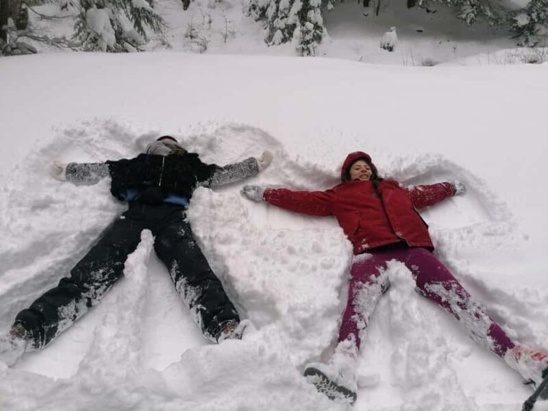 From Brasov: Piatra Craiului Snowshoeing Tour - Key Points