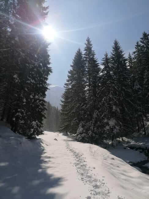 From Brasov: Piatra Craiului Snowshoeing Tour - An Honest Look at the Piatra Craiului Snowshoeing Tour