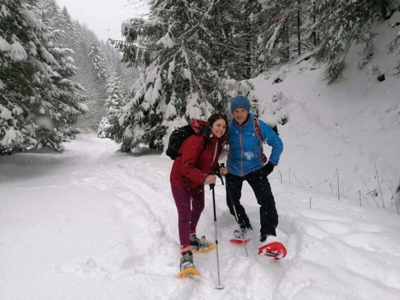 From Brasov: Piatra Craiului Snowshoeing Tour - Who Is This Tour Best For?