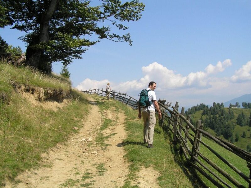 From Brasov: Romanian Mountain Villages Day Tour - Who Will Love This Experience?