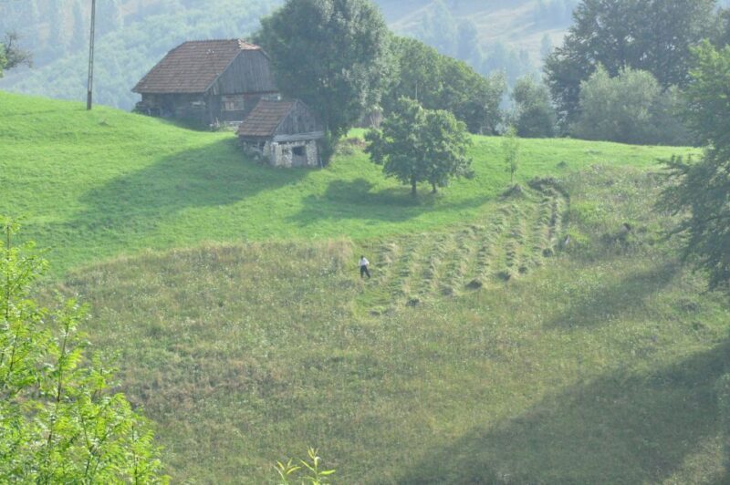 From Brasov: Romanian Mountain Villages Day Tour - Frequently Asked Questions