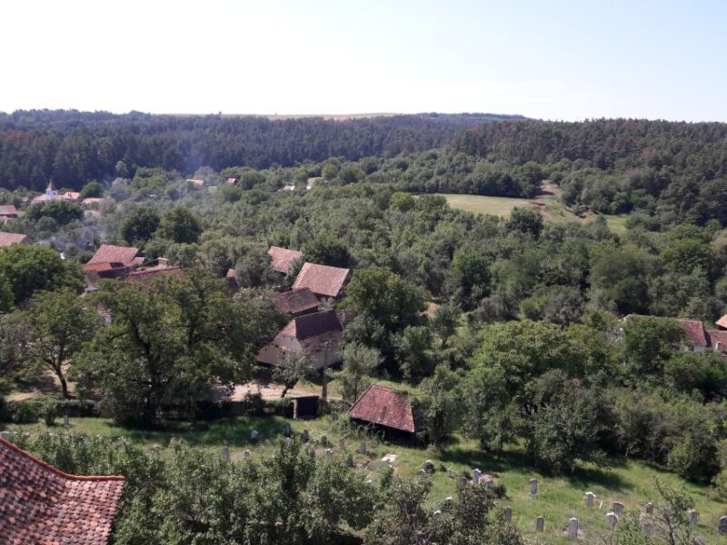 From Brasov: Sighisoara, Viscri, and Rupea Unesco Day Trip - Key Points