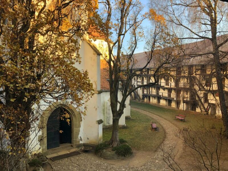 From Brasov: Small-Group Half-Day Fortified Churches Tour - Key Points
