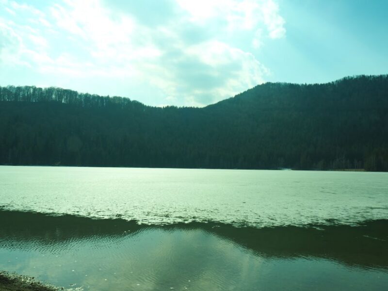 From Brasov: Small-Group Volcanic Lake Day Trip - Who Will Love This Tour?