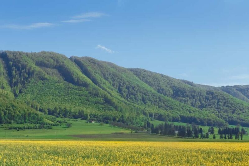 From Brasov  Transylvania Day Tour: Noble Heritage - Practical Details and Tips