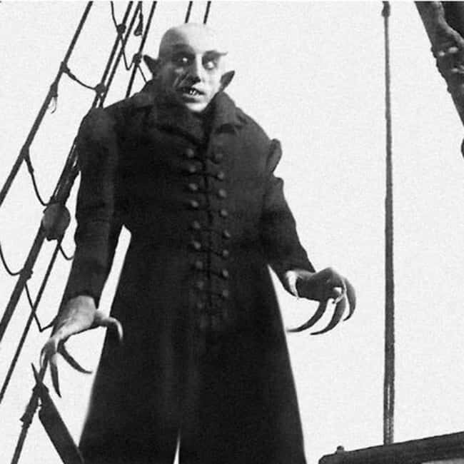 From Bratislava: Dracula Nosferatu - Orava Castle Day Tour - Who Will Love This Tour?