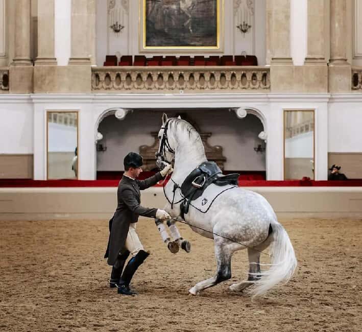 From Bratislava: Vienna Private City Tour & Schönbrunn - Key Points