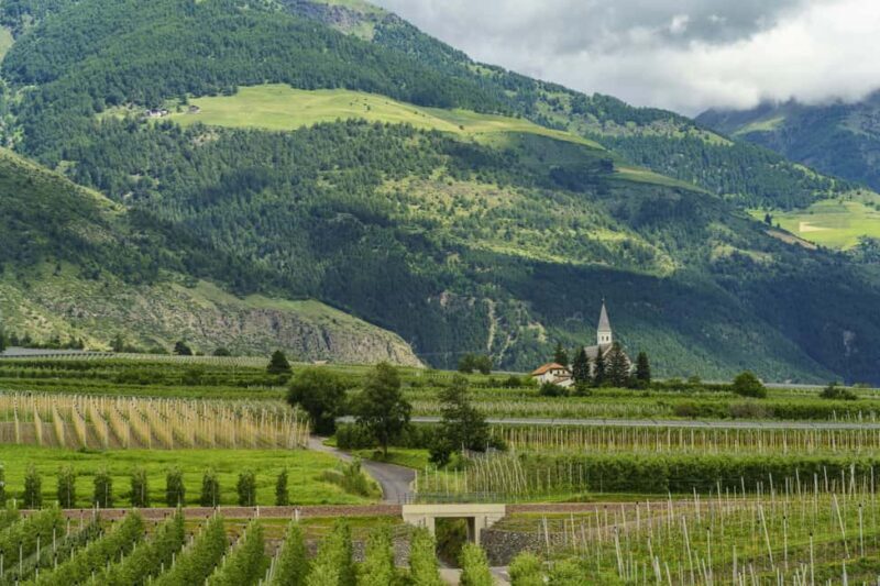 From Bratislava: Wachau Valley Day Trip with Wine Tasting - Who Will Love This Tour?