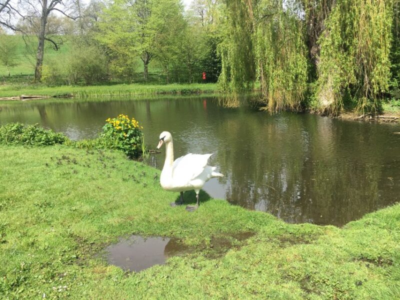 From Brighton: Leeds Castle & Canterbury Full-Day Trip - The Sum Up