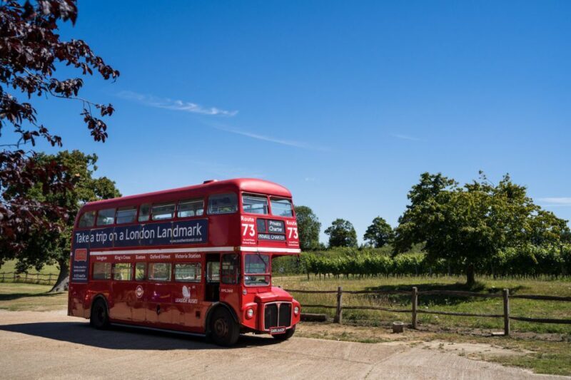 From Brighton: Sussex Wine Tour on a Vintage Bus with Lunch - What to Expect from the Sussex Wine Tour
