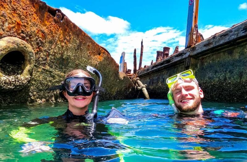 From Brisbane: Moreton Island Full-Day Trip - What the Reviews Say