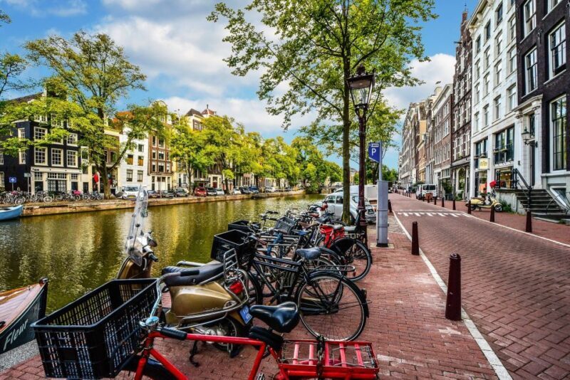 From Brussels: Cheese, Clogs & Windmills Amsterdam Day Trip - What Real Travelers Say