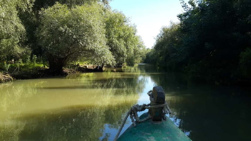 From Bucharest: 3-Day Danube Delta Birdwatching Private Tour - Value for Money