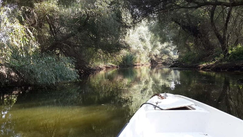 From Bucharest: 3-Day Danube Delta Birdwatching Private Tour - Who Will Love This Tour?