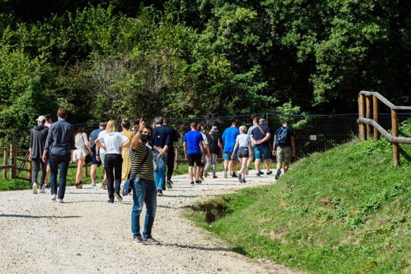 From Bucharest: Bear Sanctuary and Dracula Castle Day Tour - Who Would Love This Tour?