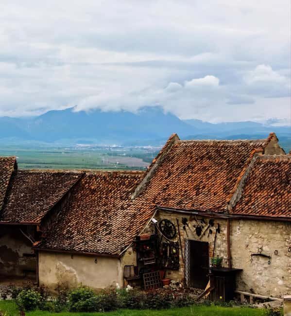 From Bucharest: Bears Sanctuary&Rasnov Fortress Private tour - Exploring the Day: What You Can Expect