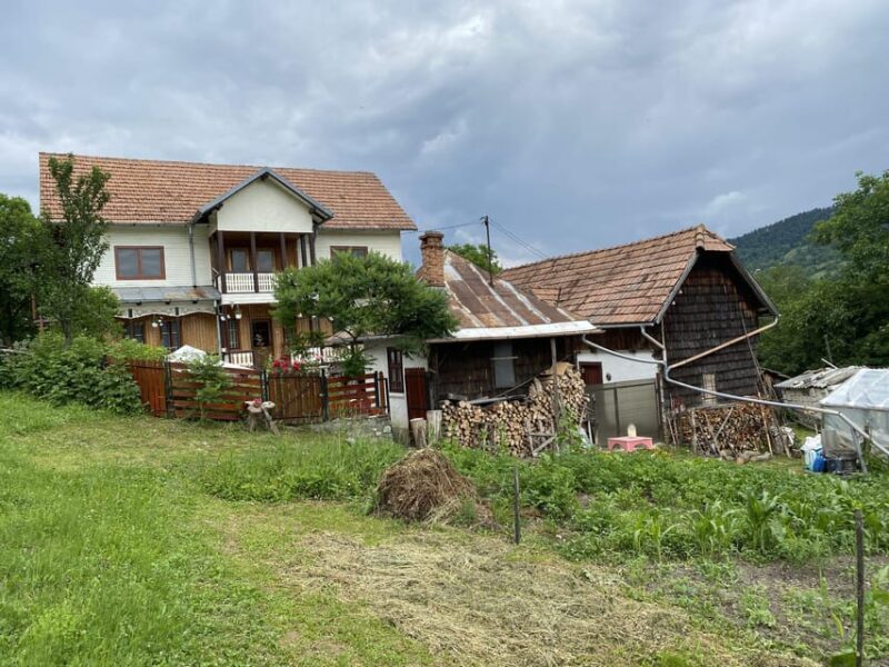 From Bucharest: Boutique Wine Tasting Private Day Trip - Detailed Breakdown of the Itinerary